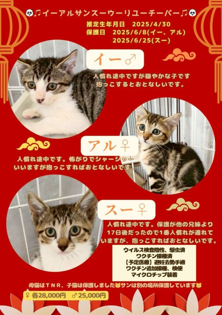 7/13(日）完全予約制のちびずお見合い会のご案内
