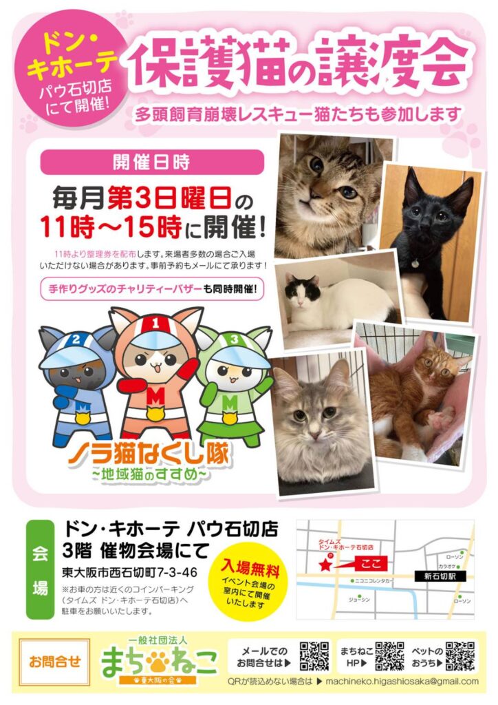 8/17(日）譲渡会参加猫
