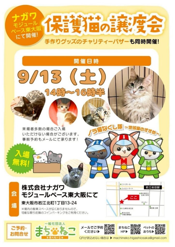 9/13（土）譲渡会参加猫