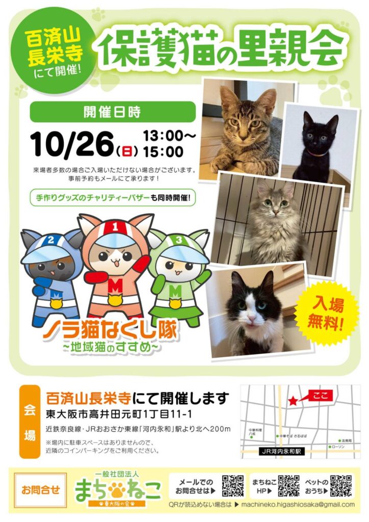 10/26（日）百済山長栄寺譲渡会参加猫